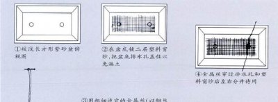 华山松盆景怎么养护 华山松栽培技术要点