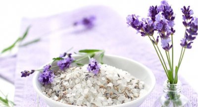 狭叶薰衣草种植方法 薰衣草图片和介绍