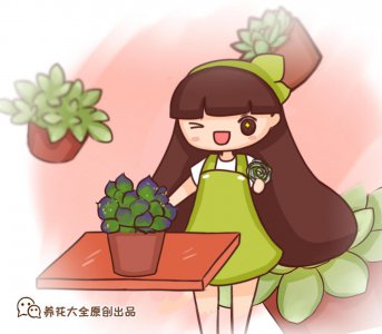 多肉植物怎么养才能更旺盛 多肉植物养护小窍门