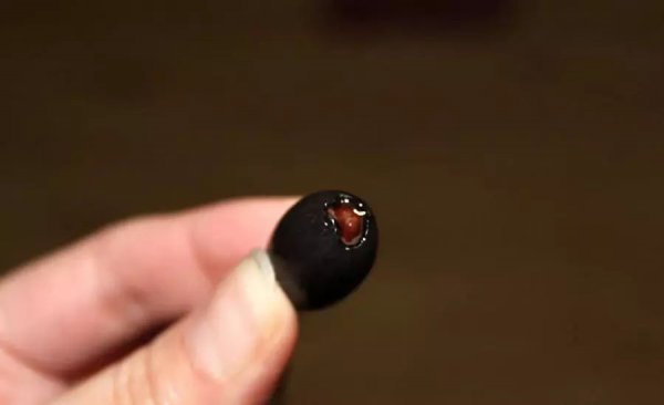 四季莲怎么种植