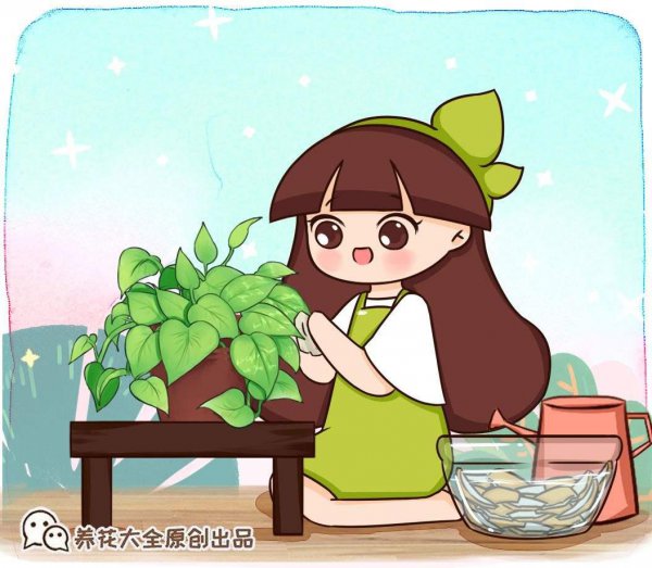 凤梨有什么作用