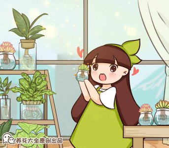 垂盆草怎么养才能爆盆 详解垂盆草养护小妙招