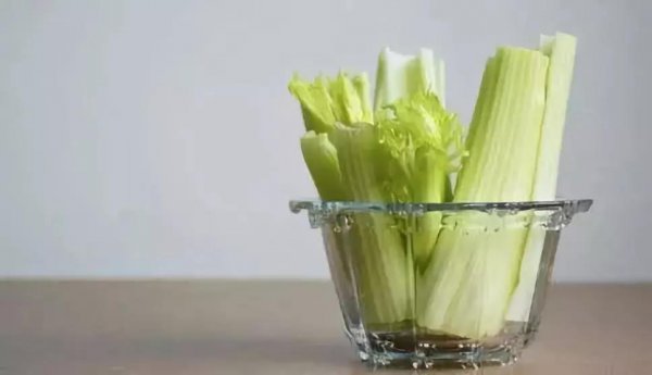 芹菜盆栽怎么种植