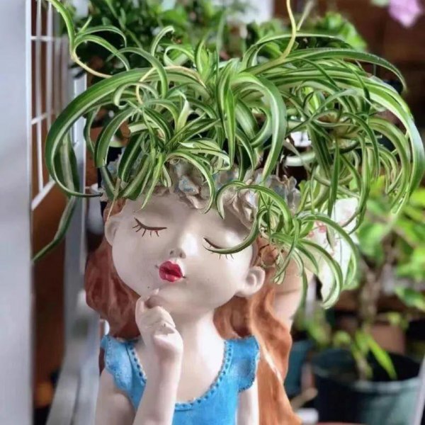 常见的卷叶花有哪些