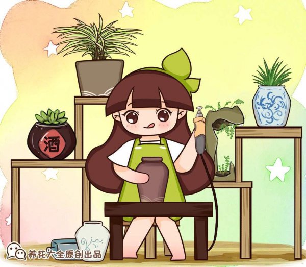 常用的盆栽花盆有哪些