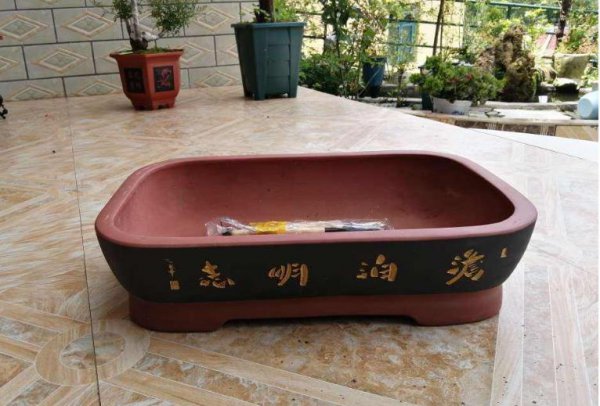 常用的盆栽花盆有哪些