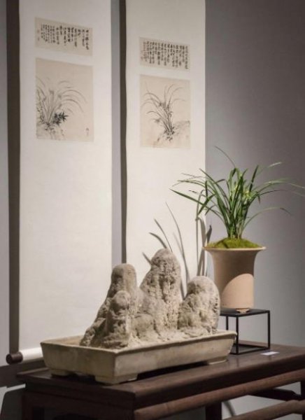 适合领导办公室摆放的绿植盆栽有哪些