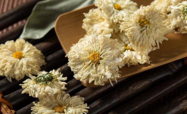 有哪些花能吃的