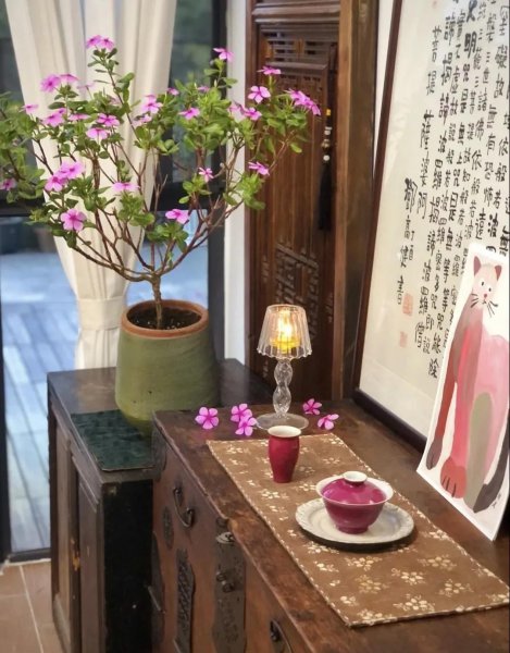 适合盆栽的家庭养殖花卉有哪些