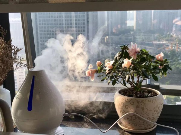 封闭阳台养花布局图片