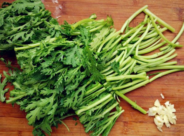 茼蒿菜家里怎么养殖
