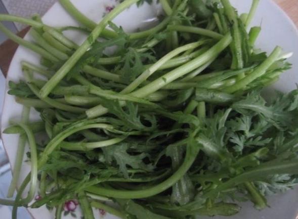 茼蒿菜家里怎么养殖