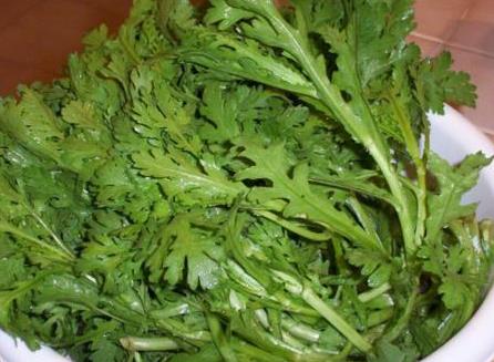 茼蒿菜家里怎么养殖