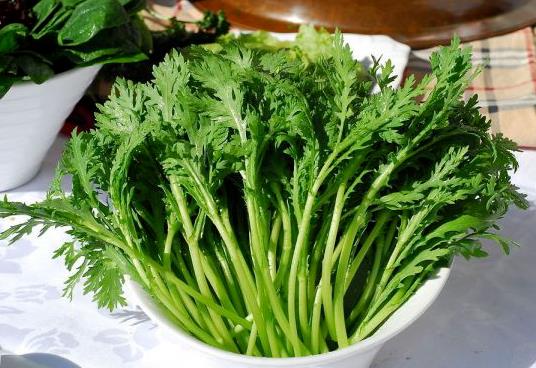 茼蒿菜家里怎么养殖