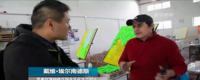玫瑰花种类有哪些 种植哪种玫瑰好