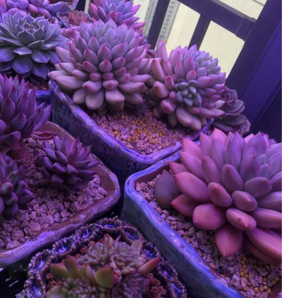 什么样的补光灯最好用