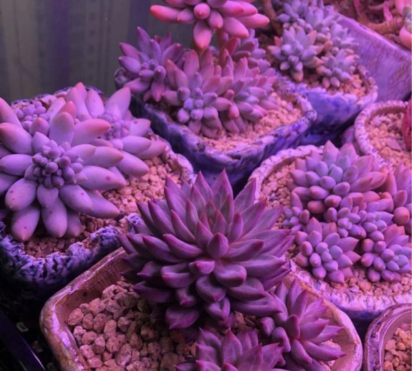 什么样的补光灯最好用