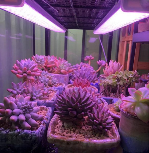 什么样的补光灯最好用