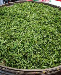 什么是茶树 详解茶知识及茶叶的种类介绍