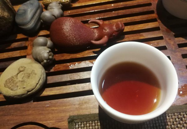什么是茶树