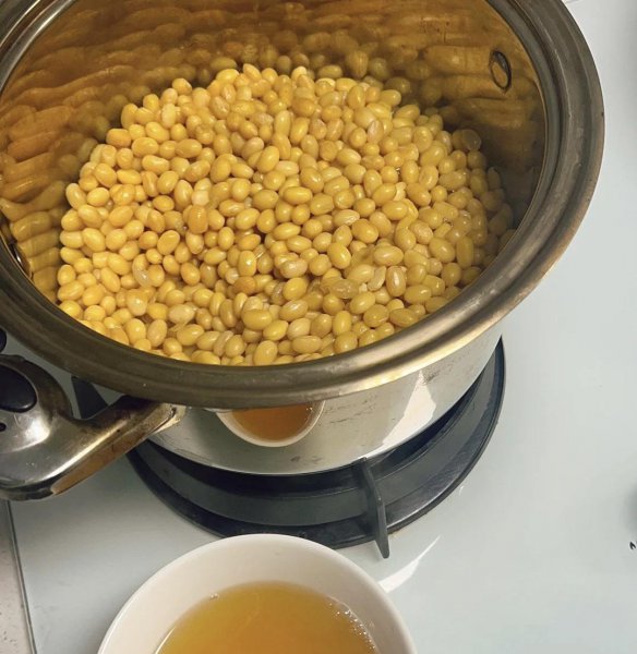 发财树适合用什么水浇