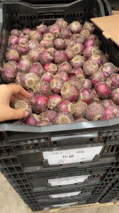 球根植物球越来越小怎么办 有关原因分析及正确的养护方法