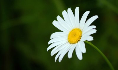 养花人：有喜有忧 有笑有泪 有花有实 这才是真正的幸福