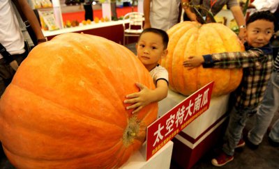 什么是太空育种 什么神奇育种术