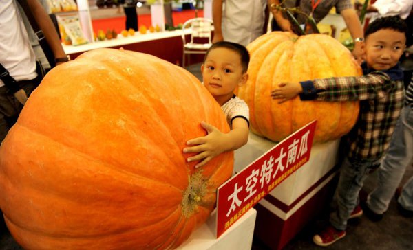 什么是太空育种