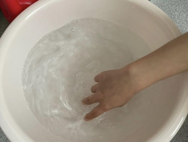 春夏天养花怎么预防虫害
