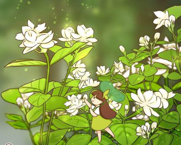 夏天茉莉不开花怎么办 两种土壤要重视