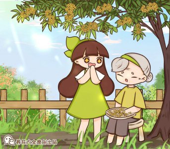 桂花家里怎么养 详解桂花家庭养护方法