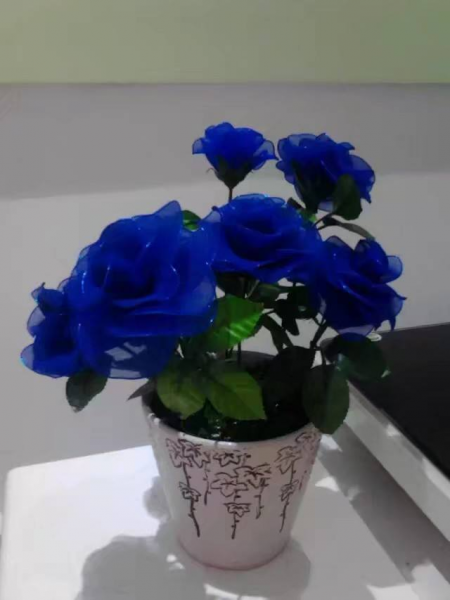 送女朋友什么花比较有意义