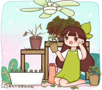 倒挂金钟夏天怎么养 详解倒挂金钟夏季养护技巧