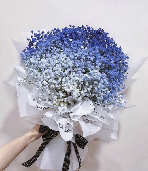 情人节应该送什么花
