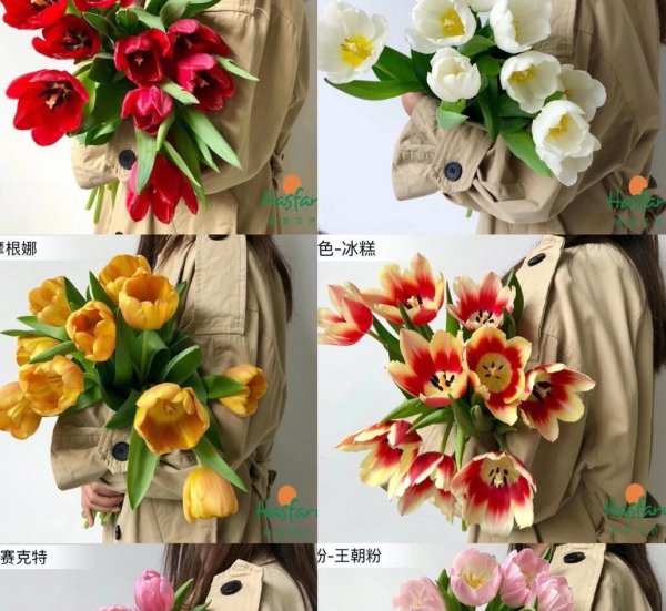 情人节应该送什么花