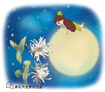 晚上开花的植物有哪些晚上才开 盘点5种晚上开花的绿植