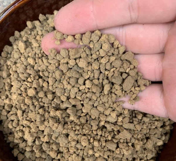 多肉不发根怎么办