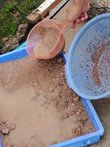 煤渣怎么改善土质 详解煤渣改善土质方法