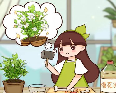 怎么给花卉催花 有关植物催花小技巧