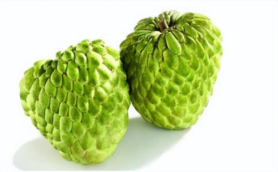 释迦怎么种植 有关热带水果释迦种植方法