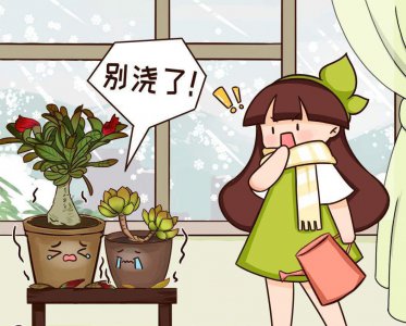 哪些水不能用来直接浇花 盘点5种不适合浇花的水