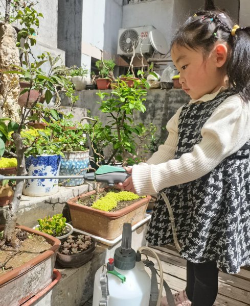 哪些水不能用来直接浇花
