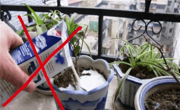 哪些水不能用来直接浇花