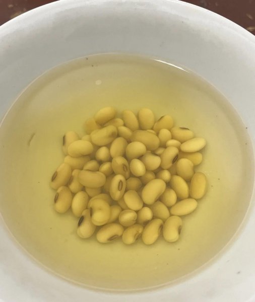 黄豆用来养花有什么作用