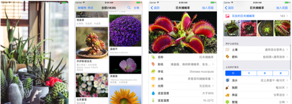 10款适合新手养花app推荐
