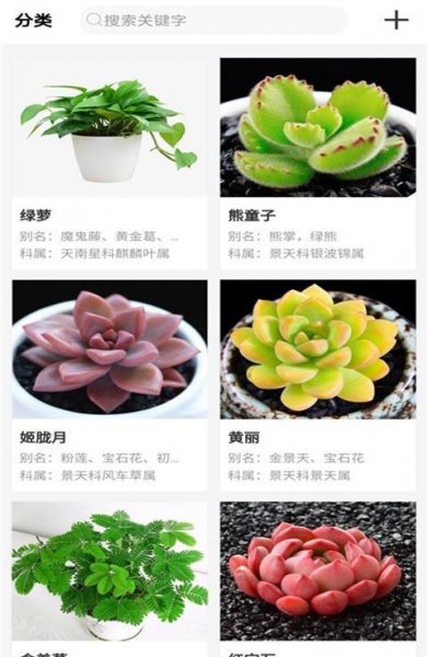 10款适合新手养花app推荐