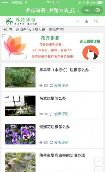 10款适合新手养花app推荐