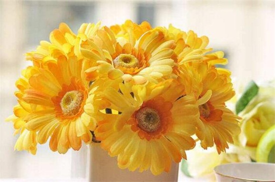 生日送什么花