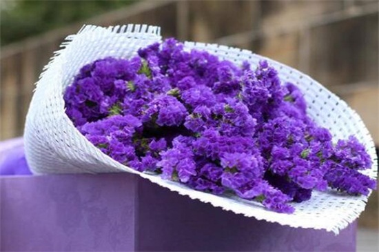 生日送什么花
